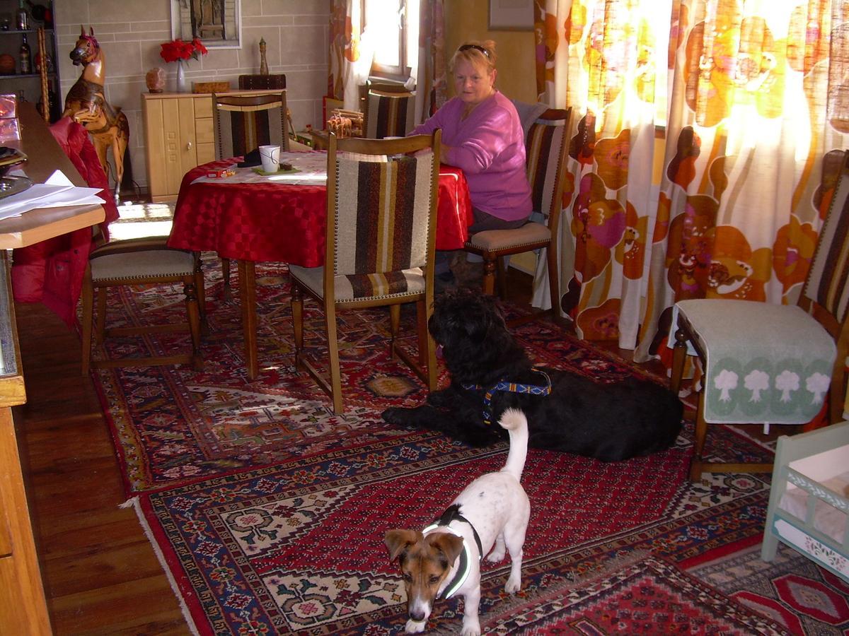 לינה וארוחת בוקר Uzwil Wohlfuehloase Fuer Mensch Und Hund מראה חיצוני תמונה
